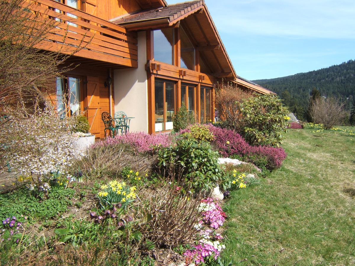 B&B Chalet L'Epinette جوراردُميه المظهر الخارجي الصورة